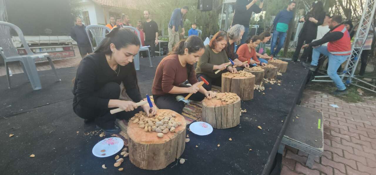 Datça’da “Altın” Ödüllü “ Badem Kırma Yarışması 3